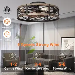 SHLUCE Caged Ceiling Fan with… — Photo 2