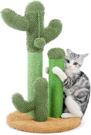 PAWZ Road Cactus Cat Scratching… — Photo 1