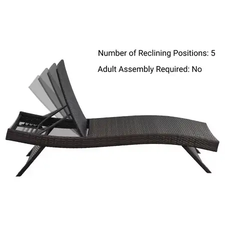 EDYO Living 2-Piece Outdoor Chaise… — Photo 2