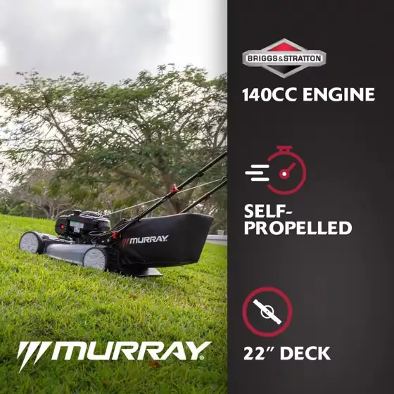 Murray 22 in. 140 cc… — Photo 2