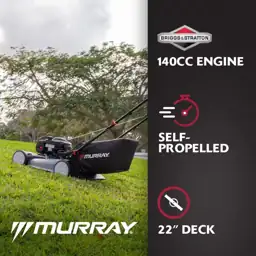 Murray 22 in. 140 cc… — Photo 2