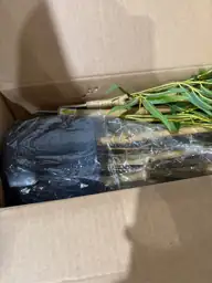 Artificial Bamboo Tree, 5ft Tall… — Photo 6