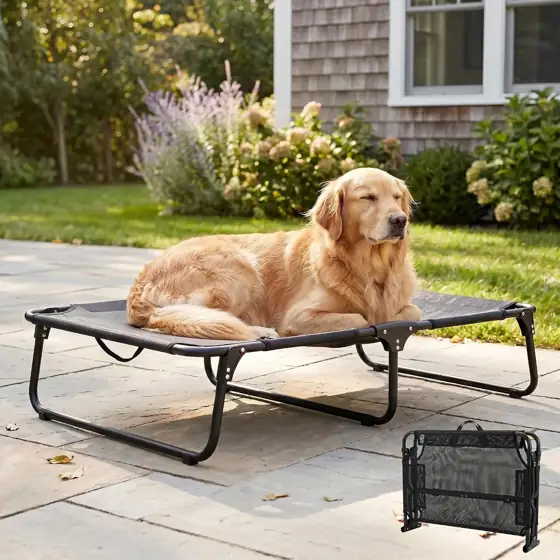 Foldable Outdoor Elevated Dog Cot… — Photo 1