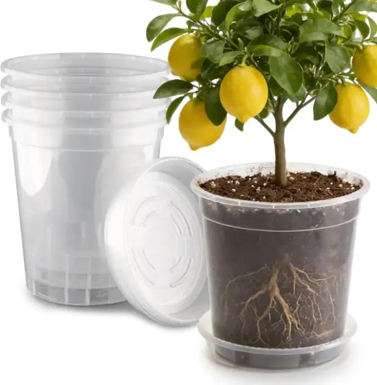 BTPLASTIK 3.5-Gallon Clear Nursery Pots… — Photo 1