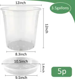 BTPLASTIK 3.5-Gallon Clear Nursery Pots… — Photo 2