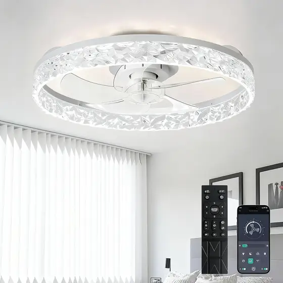 Depuley 20" LED Ceiling Fan… — Photo 1