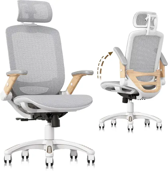 GABRYLLY Ergonomic Office Chair with… — Photo 1