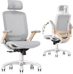 GABRYLLY Ergonomic Office Chair with… — Photo 1