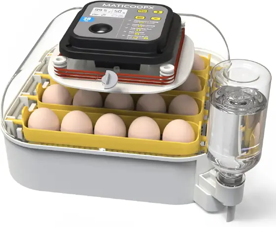 MATICOOPX 20-Egg Incubator with Humidity… — Photo 1