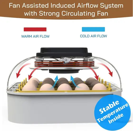 MATICOOPX 20-Egg Incubator with Humidity… — Photo 2