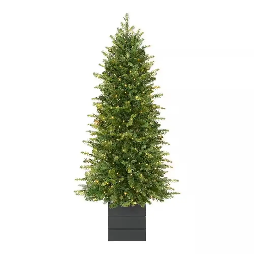4 ft. Grand Duchess Twinkling… — Photo 1