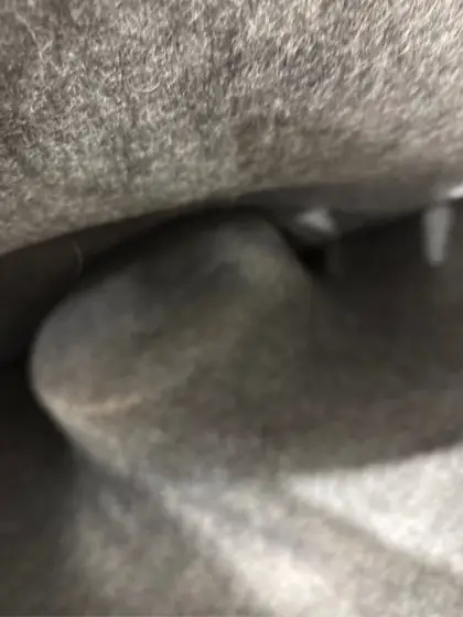Cattasaurus Peekaboo Cat Cave Donut,… — Photo 4