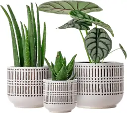 Docrin 3-Pack Ceramic Plant Pots… — Photo 1