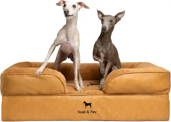 NOAH & PAW Large Dog… — Photo 1