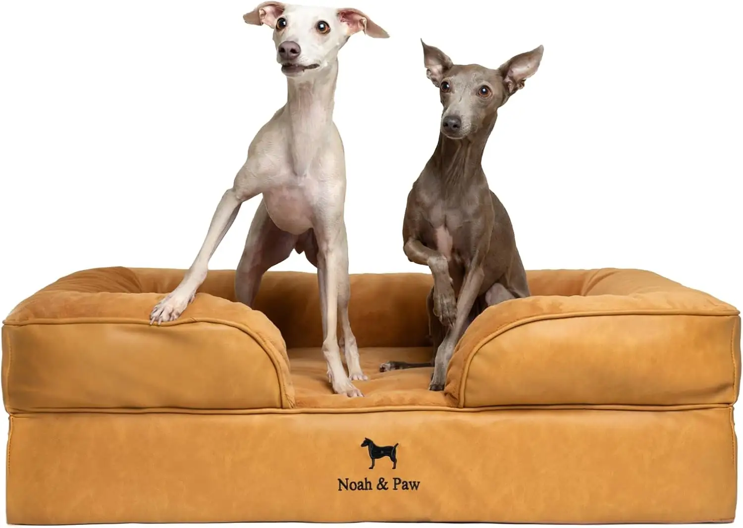 NOAH & PAW Large Dog… — Photo 1