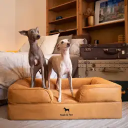 NOAH & PAW Large Dog… — Photo 2