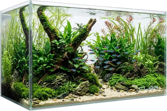 10 Gallon Rectangular Fish Tank,… — Photo 1