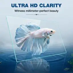10 Gallon Rectangular Fish Tank,… — Photo 2