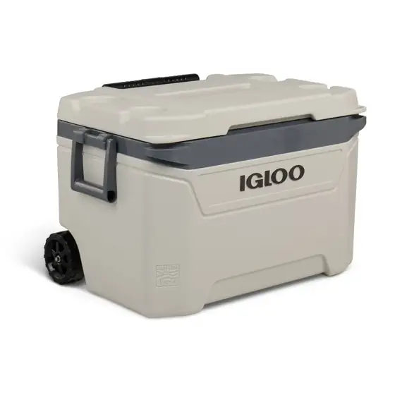 Igloo Bone White and Gray… — Photo 2