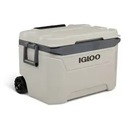 Igloo Bone White and Gray… — Photo 2