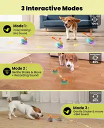 Xeuch Interactive Dog Ball with… — Photo 2