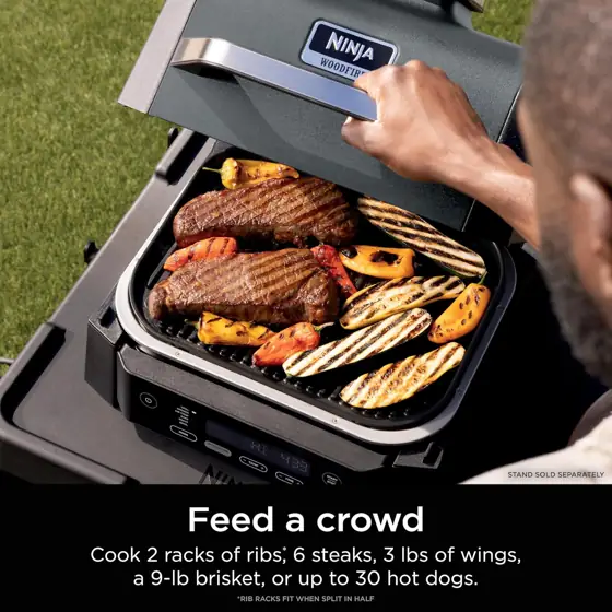 Ninja Woodfire Outdoor Grill &… — Photo 2