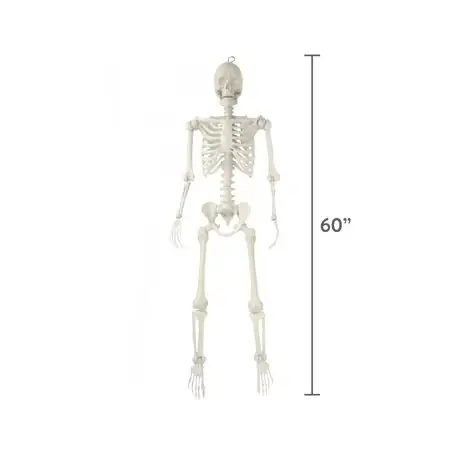 Hanging Posable Skeleton Decoration, White,… — Photo 2
