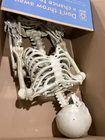 Hanging Posable Skeleton Decoration, White,… — Photo 3