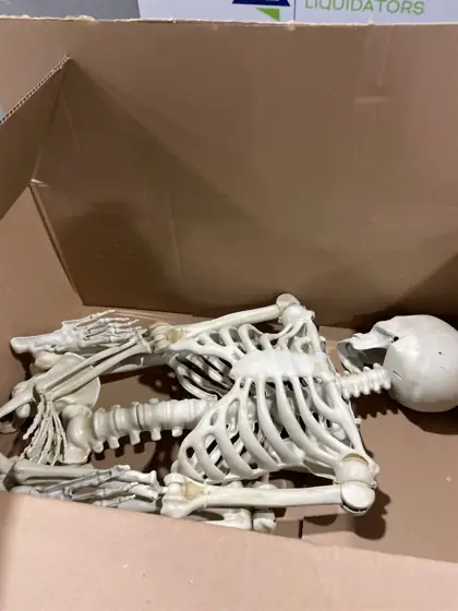 Hanging Posable Skeleton Decoration, White,… — Photo 5