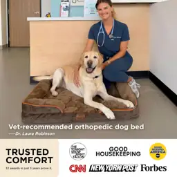 Bedsure Orthopedic Dog Beds Extra… — Photo 2