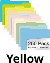 RAZCC 250 Pack Colored File… — Photo 1