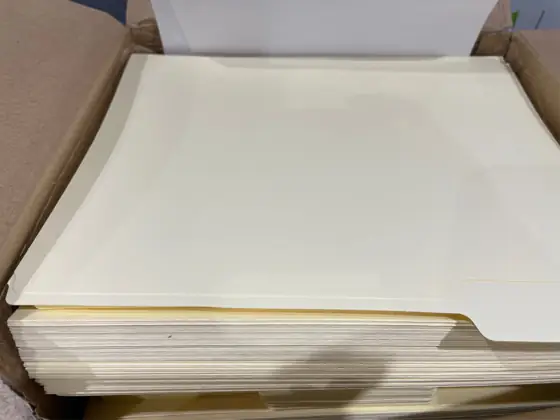 RAZCC 250 Pack Colored File… — Photo 4