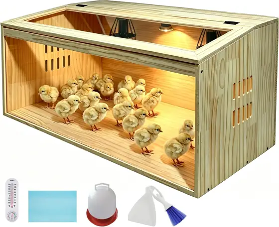 Chicken Brooder Box With Heating… — Photo 1