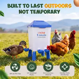 Lilyang Large Chicken Feeder and… — Photo 2