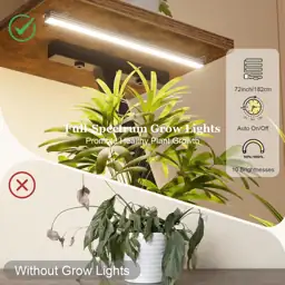 BACEKOLL Plant Stand Indoor with… — Photo 2