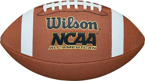 Wilson NCAA All American Football — Photo 2