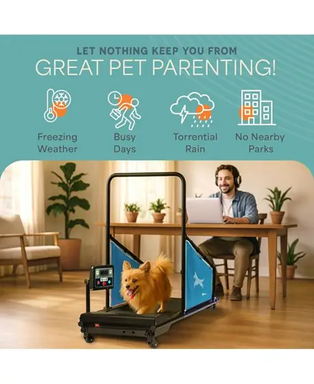 Lifepro PawRunner Compact Dog Treadmill… — Photo 2