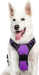 Eagloo Dog Harness for Large… — Photo 1
