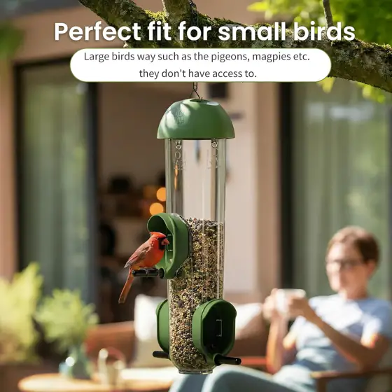 LONA 1 Pack Tube Bird… — Photo 2