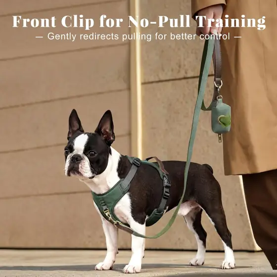 Didog No Pull Dog Harness… — Photo 2