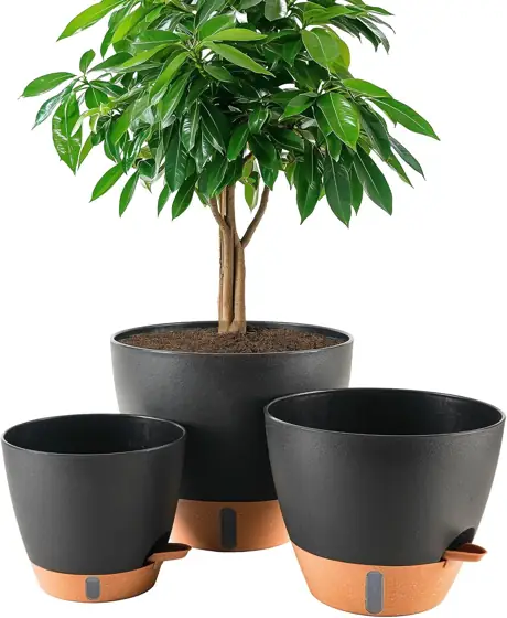 8/10/12 Inch Self Watering Pots… — Photo 1