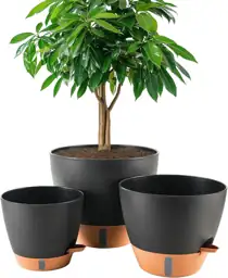 8/10/12 Inch Self Watering Pots… — Photo 1