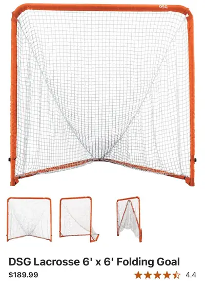 Dsg lacross goal — Photo 1