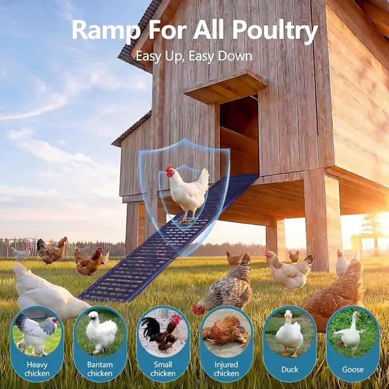 Lilyang Heavy-Duty Metal Chicken Coop… — Photo 2