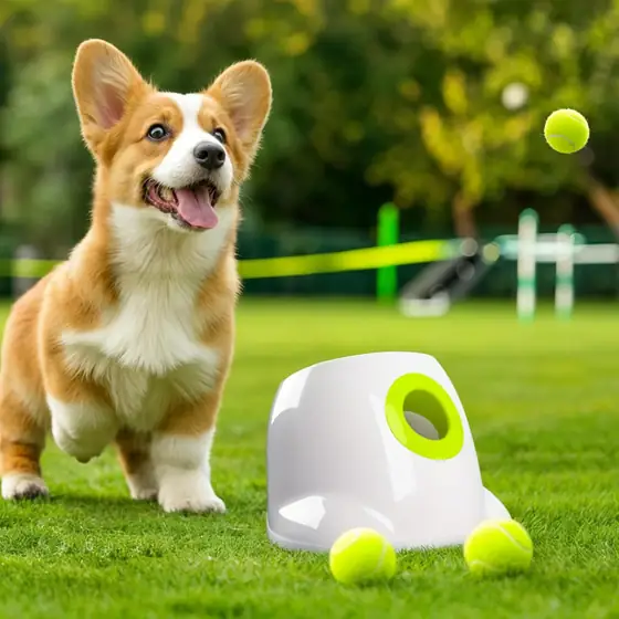 ALL FOR PAWS Automatic Dog… — Photo 1