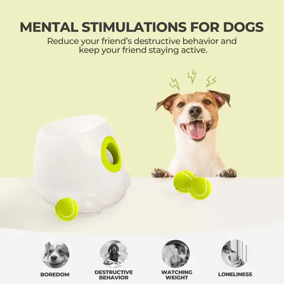 ALL FOR PAWS Automatic Dog… — Photo 2
