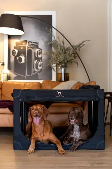Noah & Paw Collapsible Dog… — Photo 2