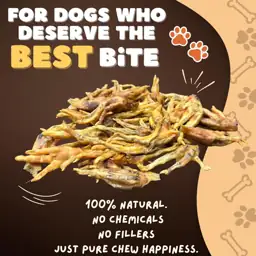 Woofley's Chicken Feet (100 Count)-… — Photo 2