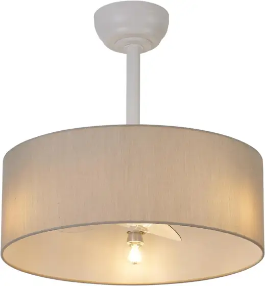 20-In Ceiling Fan with Lights… — Photo 1