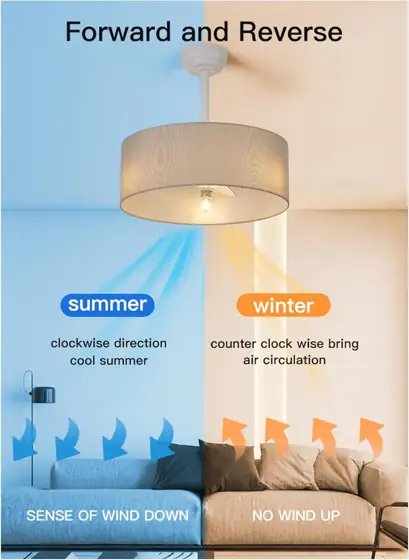 20-In Ceiling Fan with Lights… — Photo 2